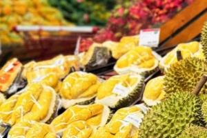Thủ tướng yêu cầu hướng dẫn quy trình sản xuất sầu riêng an toàn, bền vững