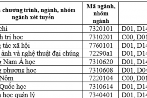 NÓNG: Bộ GD&ĐT vào cuộc vụ hàng loạt trường đại học bỏ tổ hợp C00 vào 'phút chót'