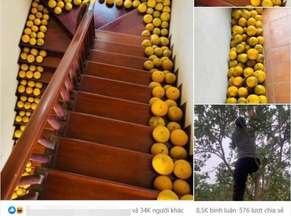 Loạt ảnh sắm bưởi ăn Tết nhận bão like