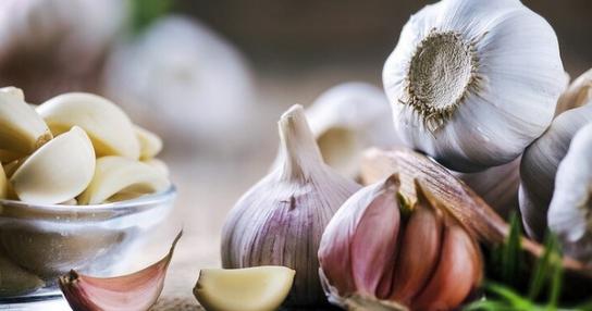 5 bài thuốc nam hỗ trợ điều trị cảm cúm hiệu quả