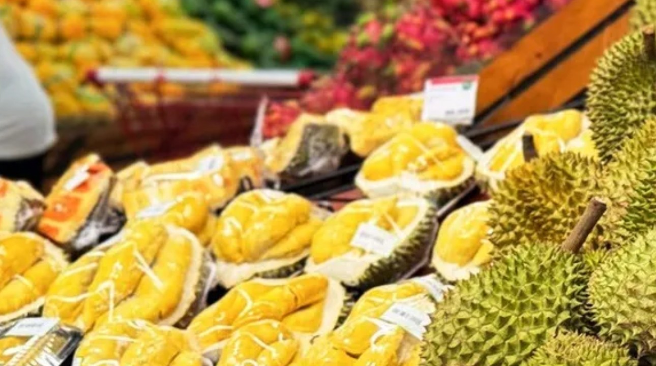 Thủ tướng yêu cầu hướng dẫn quy trình sản xuất sầu riêng an toàn, bền vững